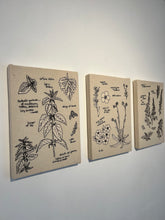 Load image into Gallery viewer, Urtica Dioica, 2024