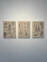 Load image into Gallery viewer, Digitalis Purpurea, 2024