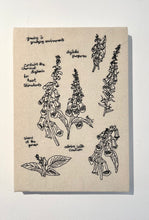 Load image into Gallery viewer, Digitalis Purpurea, 2024