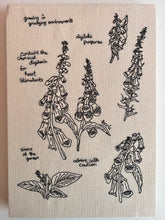 Load image into Gallery viewer, Digitalis Purpurea, 2024