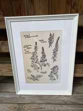 Load image into Gallery viewer, 'Nettles' A4 Giclée Print