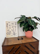 Load image into Gallery viewer, 'Forget-Me-Not' A4 Giclée Print