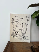 Load image into Gallery viewer, 'Forget-Me-Not' A4 Giclée Print