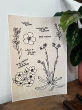 Load image into Gallery viewer, forget me nots flower print