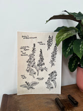 Load image into Gallery viewer, 'Foxgloves' A4 Giclée Print
