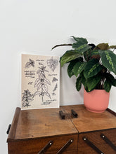 Load image into Gallery viewer, 'Nettles' A4 Giclée Print