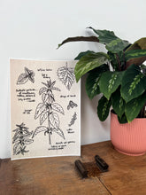 Load image into Gallery viewer, 'Nettles' A4 Giclée Print