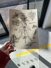 Load image into Gallery viewer, 'Nettles' A4 Giclée Print